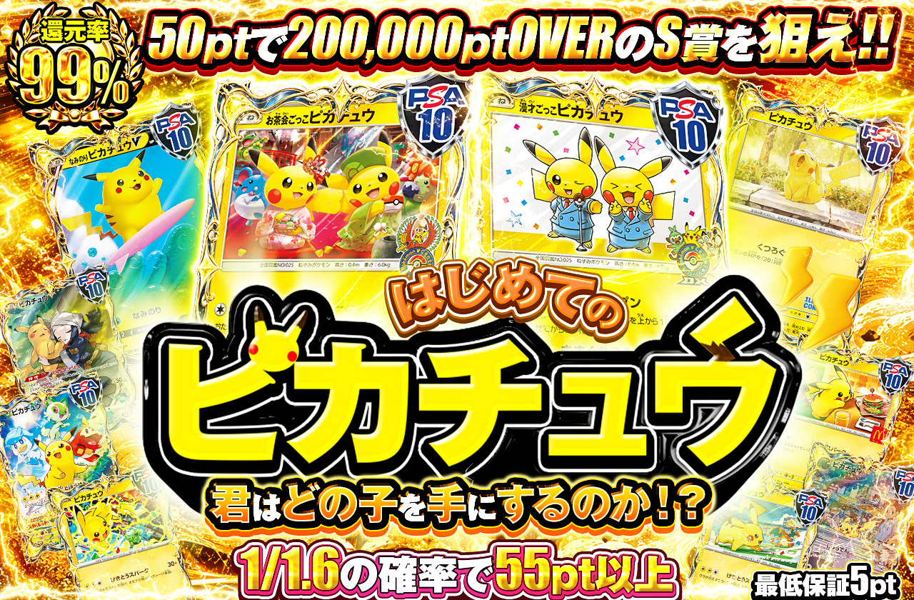 はじめてのピカチュウ